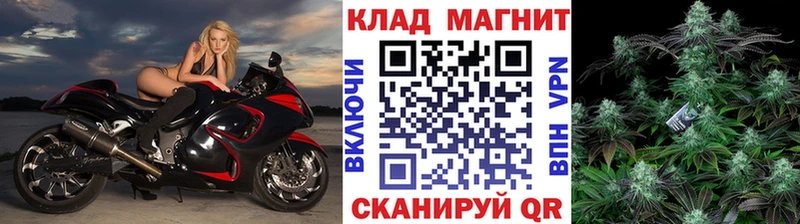 Альфа ПВП Тимашёвск