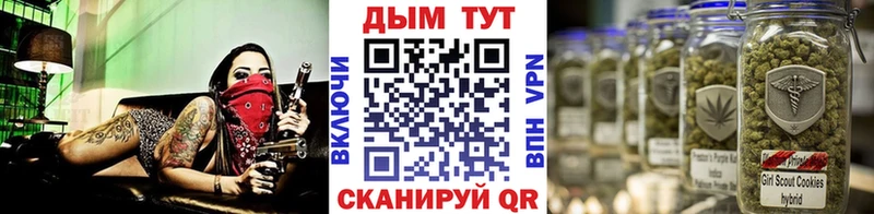Конопля гибрид  как найти наркотики  Тимашёвск 